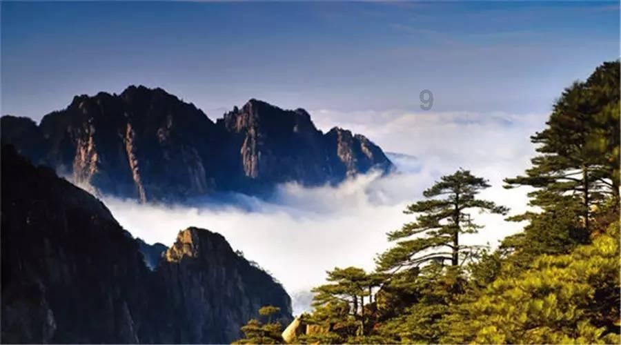 探索奇妙世界,尽在