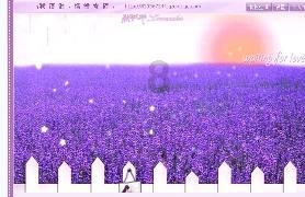 小萌新的甜美装扮