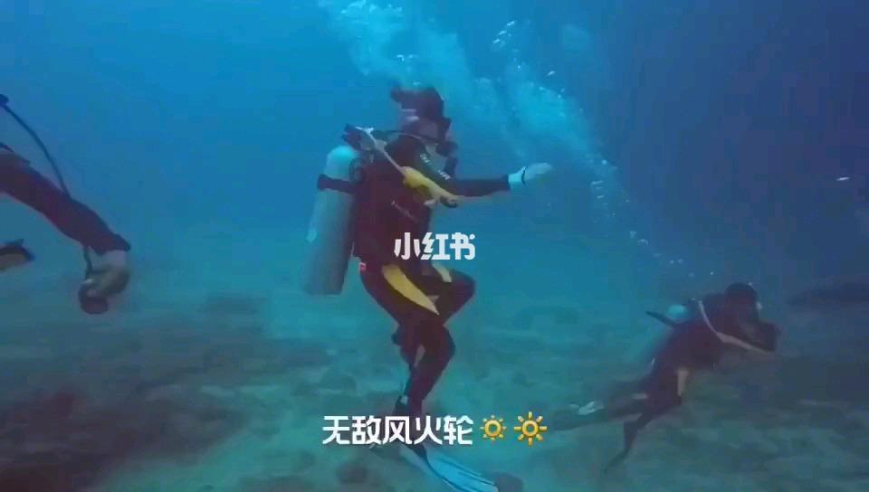 创作猫
