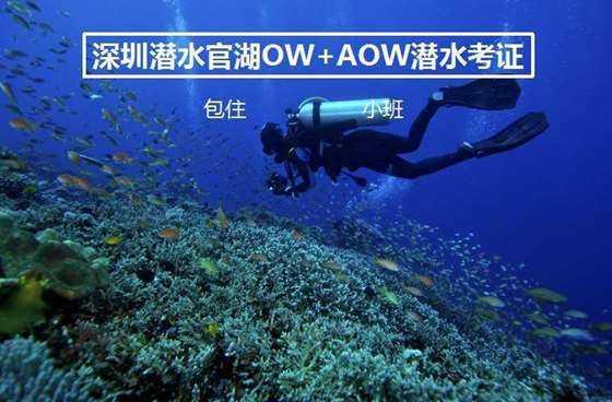 旗帜的传说2