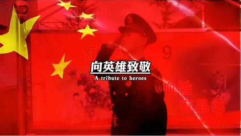 饥饿的松鼠救援