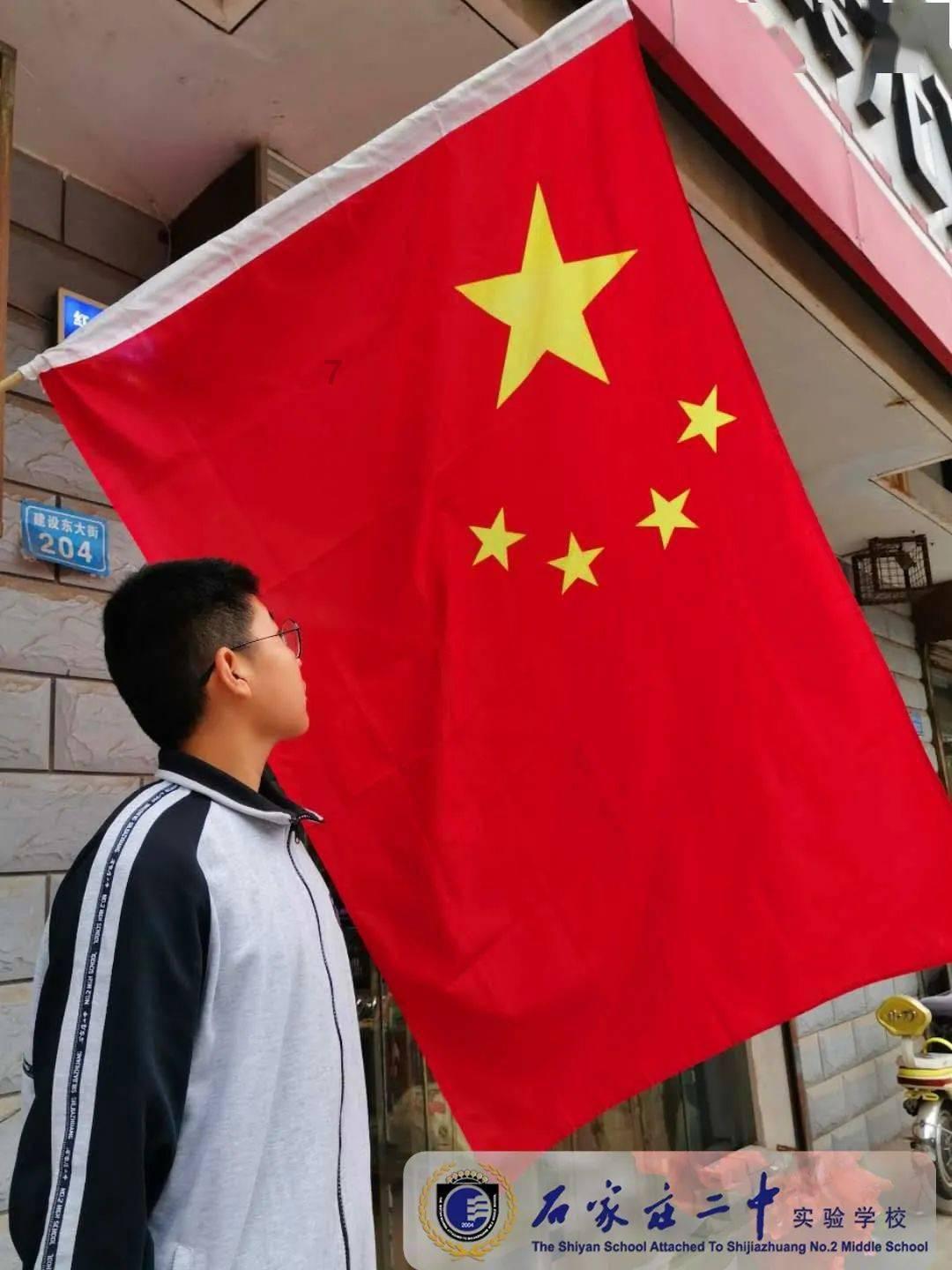 救援小犬立苏