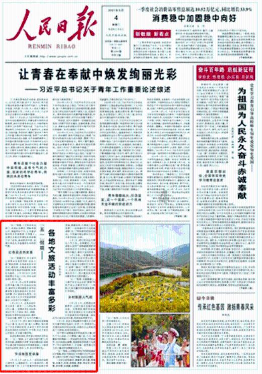 拿破仑：全面战争