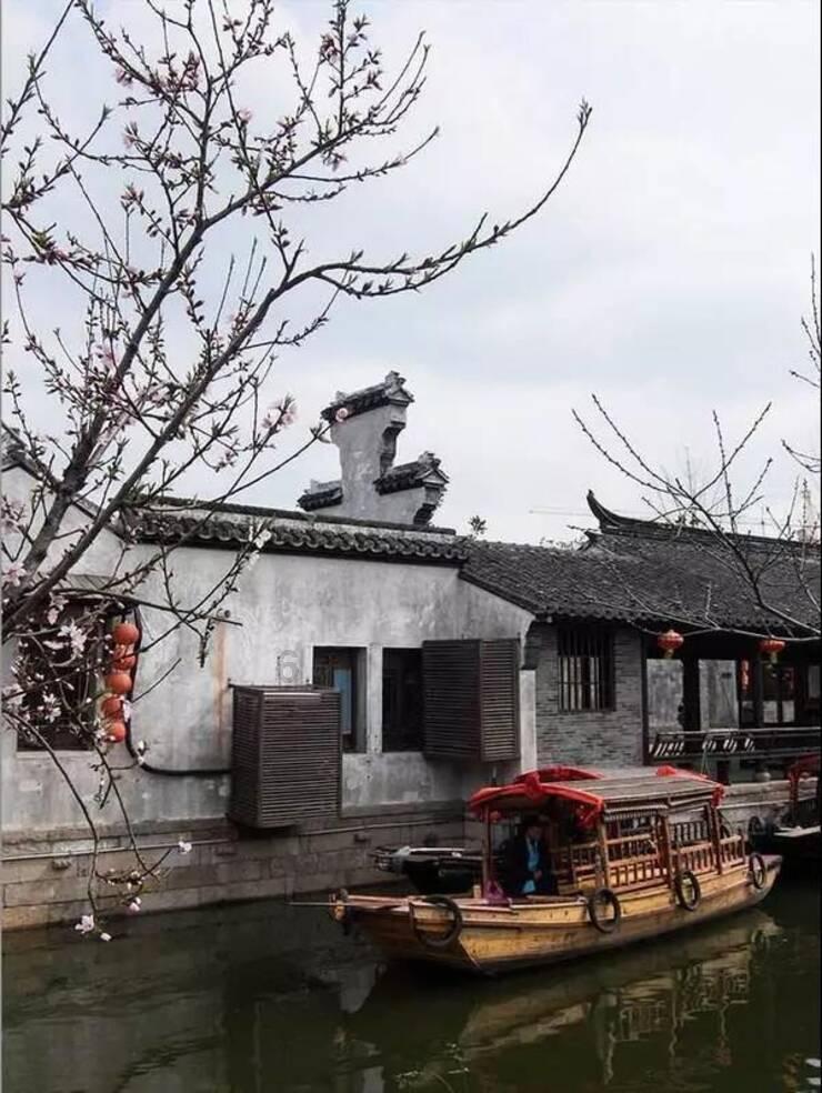 Amanda李若雯:把世界浓缩进一个厨房